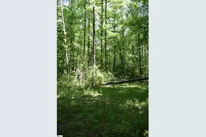 Floyd Blackwell Road, Tryon, NC 28722 - Photo 17