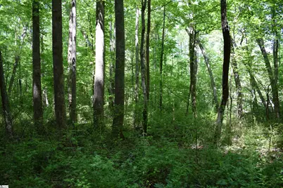 Floyd Blackwell Road, Tryon, NC 28722 - Photo 15