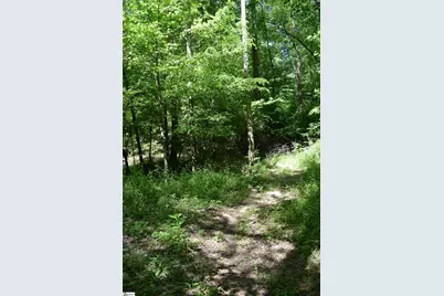 Floyd Blackwell Road, Tryon, NC 28722 - Photo 7