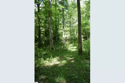 Floyd Blackwell Road, Tryon, NC 28722 - Photo 19