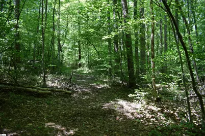Floyd Blackwell Road, Tryon, NC 28722 - Photo 21