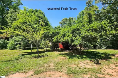 227 Jenny Lane, Easley, SC 29640 - Photo 17
