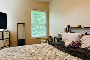 6 Boxleaf Ct, Greer, SC 29650 - Photo 29