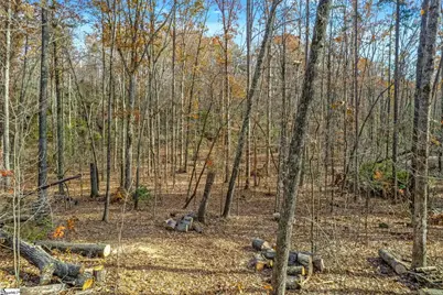 45 Danna View Court, Marietta, SC 29661 - Photo 19