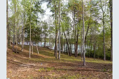 390 Peninsula Ridge, Sunset, SC 29685 - Photo 23