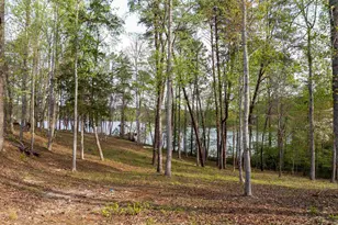 390 Peninsula Rdg, Sunset, SC 29685 - Photo 23