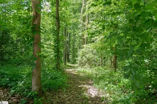 606 Mountain View Rd, Williamston, SC 29697 - Photo 45