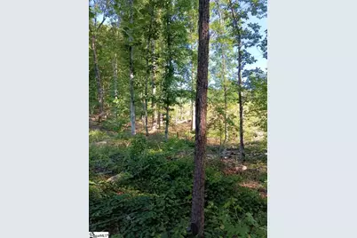 133 Sunny Lane, Pickens, SC 29671 - Photo 11