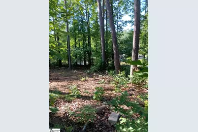 133 Sunny Lane, Pickens, SC 29671 - Photo 5