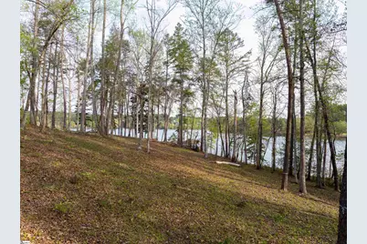 390 Peninsula Ridge, Sunset, SC 29685 - Photo 29