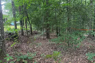 305 Horsepen Way, Simpsonville, SC 29681 - Photo 37