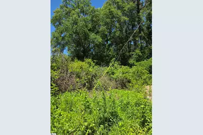 Tree Top Lane, Easley, SC 29642 - Photo 1