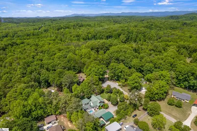 213 Cox Ridge Court, Travelers Rest, SC 29690 - Photo 49