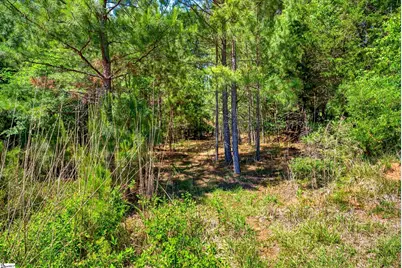 0 Gowdeysville Road #Lot 1, Gaffney, SC 29340 - Photo 5