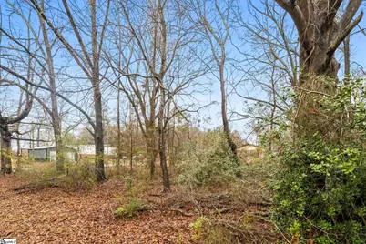 113 McNeese Drive #Lot 2, Greenville, SC 29605 - Photo 3