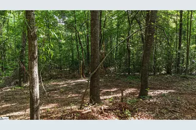 06 Guest Circle, Anderson, SC 29621 - Photo 3