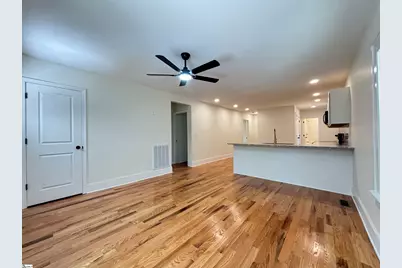 207 Bailey Street, Greenville, SC 29609 - Photo 11