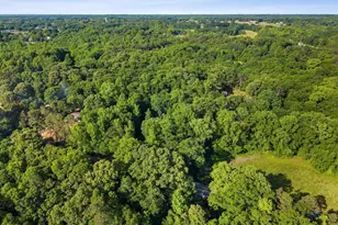 217 Old River Rd, Pelzer, SC 29669 - Photo 25