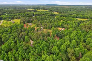 224 2 Notch Trail, Easley, SC 29642 - Photo 47
