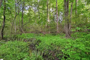 224 2 Notch Trail, Easley, SC 29642 - Photo 35