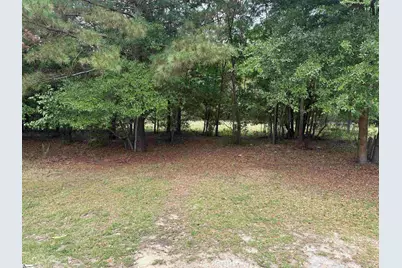49 Joe Road, Bishopville, SC 29010 - Photo 13
