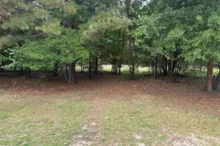 49 Joe Rd, Bishopville, SC 29010 - Photo 13