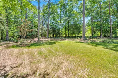 401 Tracy Trail, Greer, SC 29651 - Photo 39