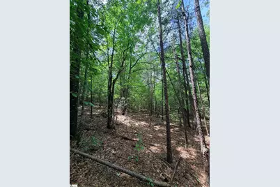 280 Sparks Lane, Pickens, SC 29671 - Photo 3