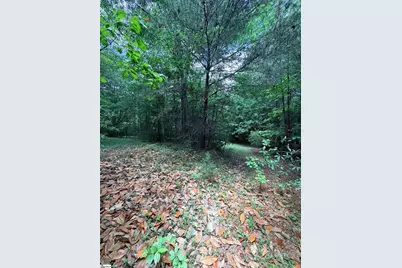 280 Sparks Lane, Pickens, SC 29671 - Photo 5
