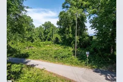 0 Ben Hurt Road, Lyman, SC 29365 - Photo 5