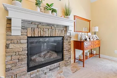 235 Ebbitt Court, Greer, SC 29651 - Photo 15