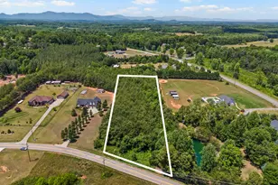 136 Prison Camp Rd, Campobello, SC 29322 - Photo 1