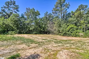 417 Ball Park Rd, Gaston, SC 29053 - Photo 39