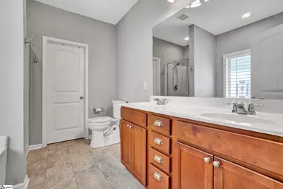 234 Reedy Springs Lane, Greenville, SC 29605 - Photo 21