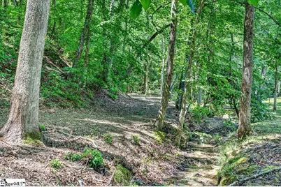 326 Arledge Road, Landrum, SC 29356 - Photo 49