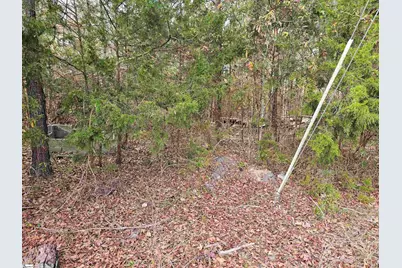 91 Rest Road, Waterloo, SC 29384 - Photo 9