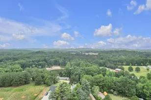 2452 Fews Bridge Rd, Greer, SC 29651 - Photo 33