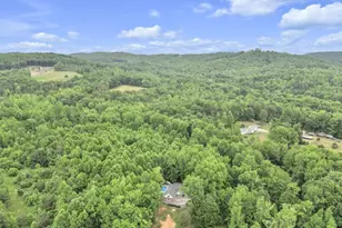 146 Butternut Dr, Pickens, SC 29671 - Photo 33