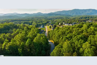 6 Black Bear Trail, Taylors, SC 29687 - Photo 5