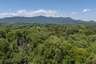 77 1st St, Tryon, NC 28782 - Photo 27