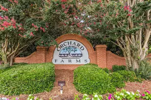 17 Halehaven Dr, Simpsonville, SC 29681 - Photo 41