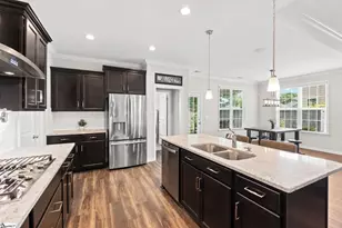 407 Blue Peak Ct, Greer, SC 29650 - Photo 19