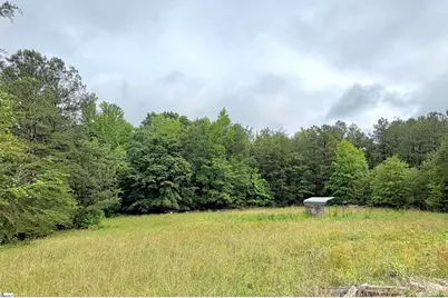 588 Douglas Road, Gray Court, SC 29645 - Photo 27