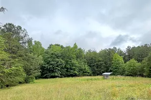 588 Douglas Rd, Gray Court, SC 29645 - Photo 27