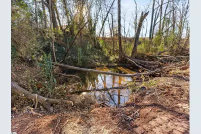 320 Carney Street, Drayton, SC 29333 - Photo 41