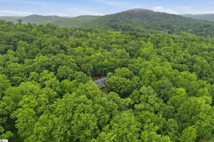 211 Narrow Way, Travelers Rest, SC 29690 - Photo 39