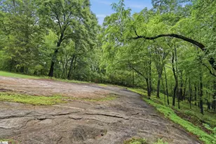 211 Narrow Way, Travelers Rest, SC 29690 - Photo 27