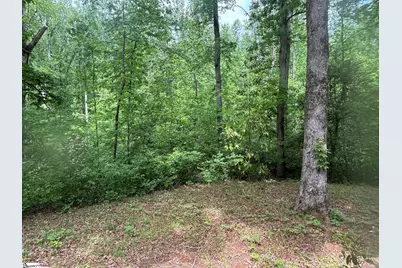 230 Enoree Road, Travelers Rest, SC 29690 - Photo 17