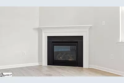 1243 Saginaw Court, Woodruff, SC 29388 - Photo 13