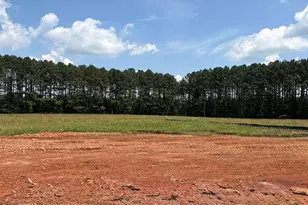 310 Richey Rd, Pelzer, SC 29669 - Photo 15